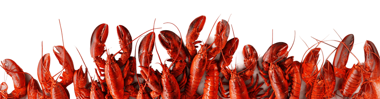 Atlantic live seafood supplier